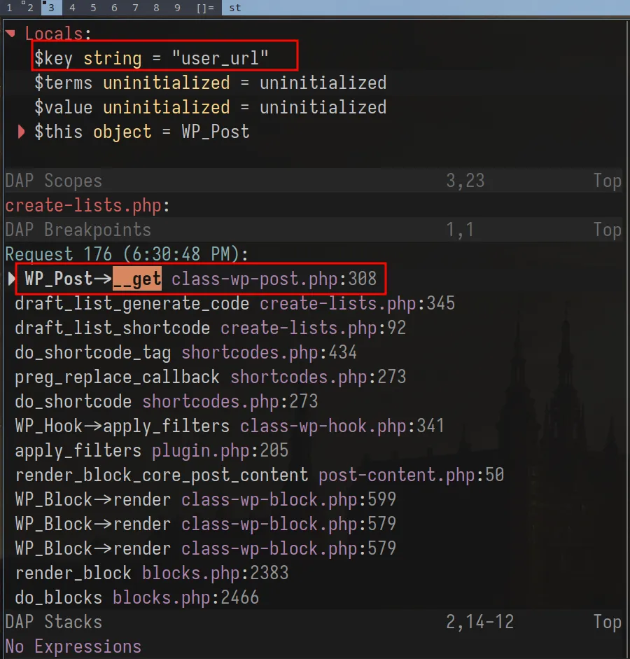 Xdebug call stack at the exact moment __get() is entered